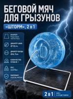 Колесо для хомяка — Фото гол