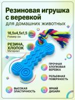 SC-T24  Игрушка для домашних животных. Цвет: синий