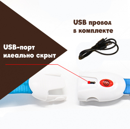 C9_08 (1)