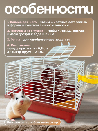 M0248 (коричневый) (2)