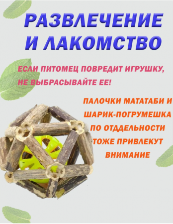 6 см (3)