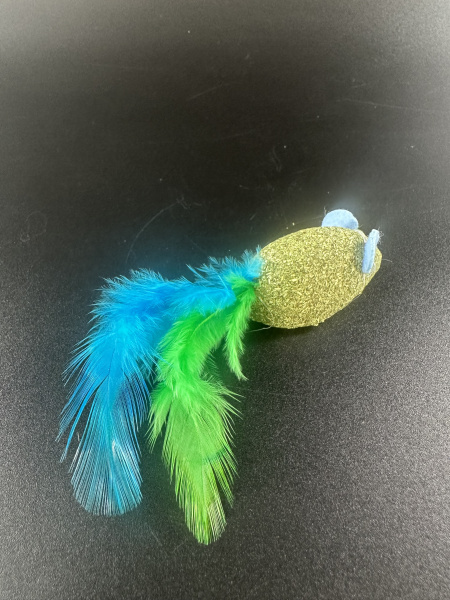 4_CT18104