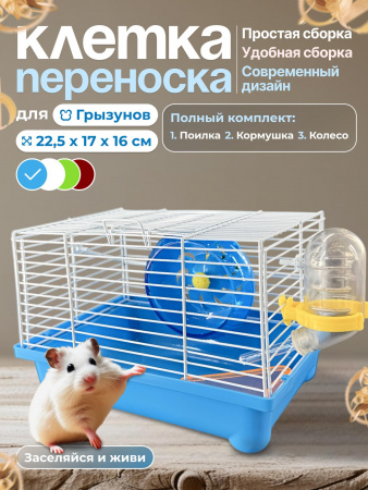 M0242 (синий),