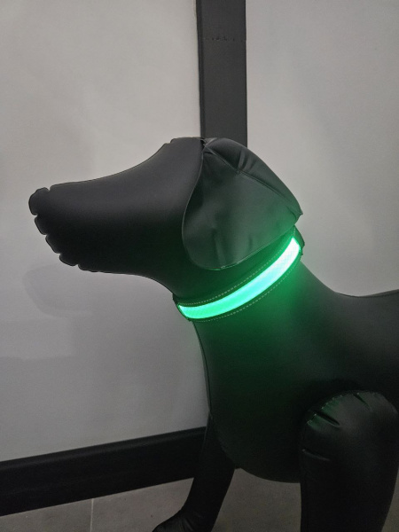 photo_2024-08-14_10-47-47 (2)