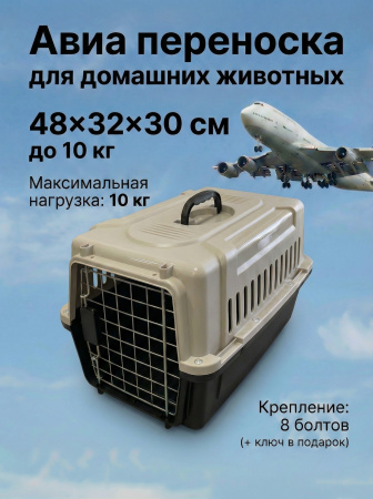 card- (2