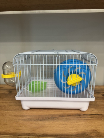 photo_5283142054681107367_y