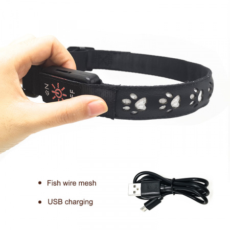 C14-RGB (11)
