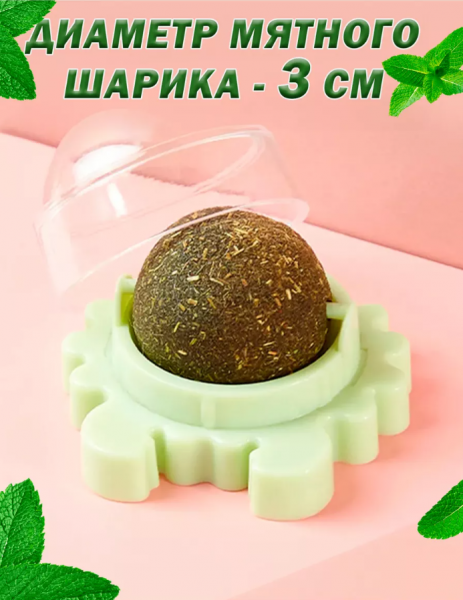 Мята2