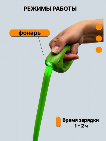wb_338614137_3
