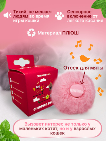 Роз2