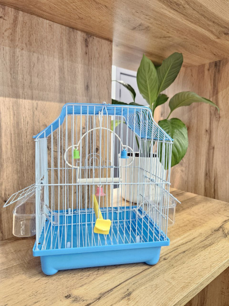 photo_2024-09-10_16-35-47 (3)