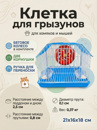 card (2)