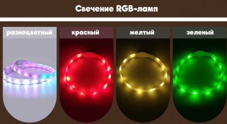 белый фон (2)