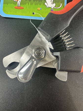 10_GR5001