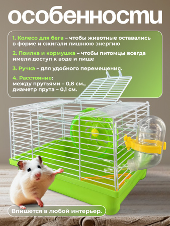 M0243(2) (зеленый)
